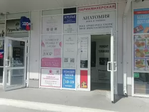 Фотография Анатомия 0
